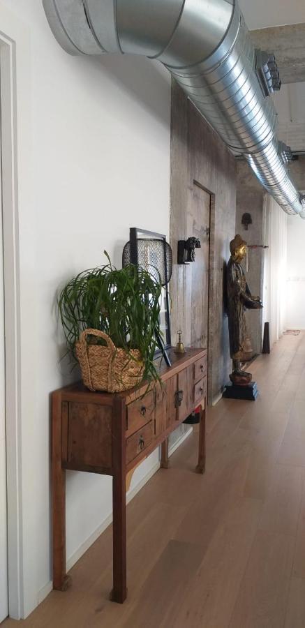 アリカンテAtico Loft En Frente Al Mar Terraza Vista Espectacularアパートメント エクステリア 写真